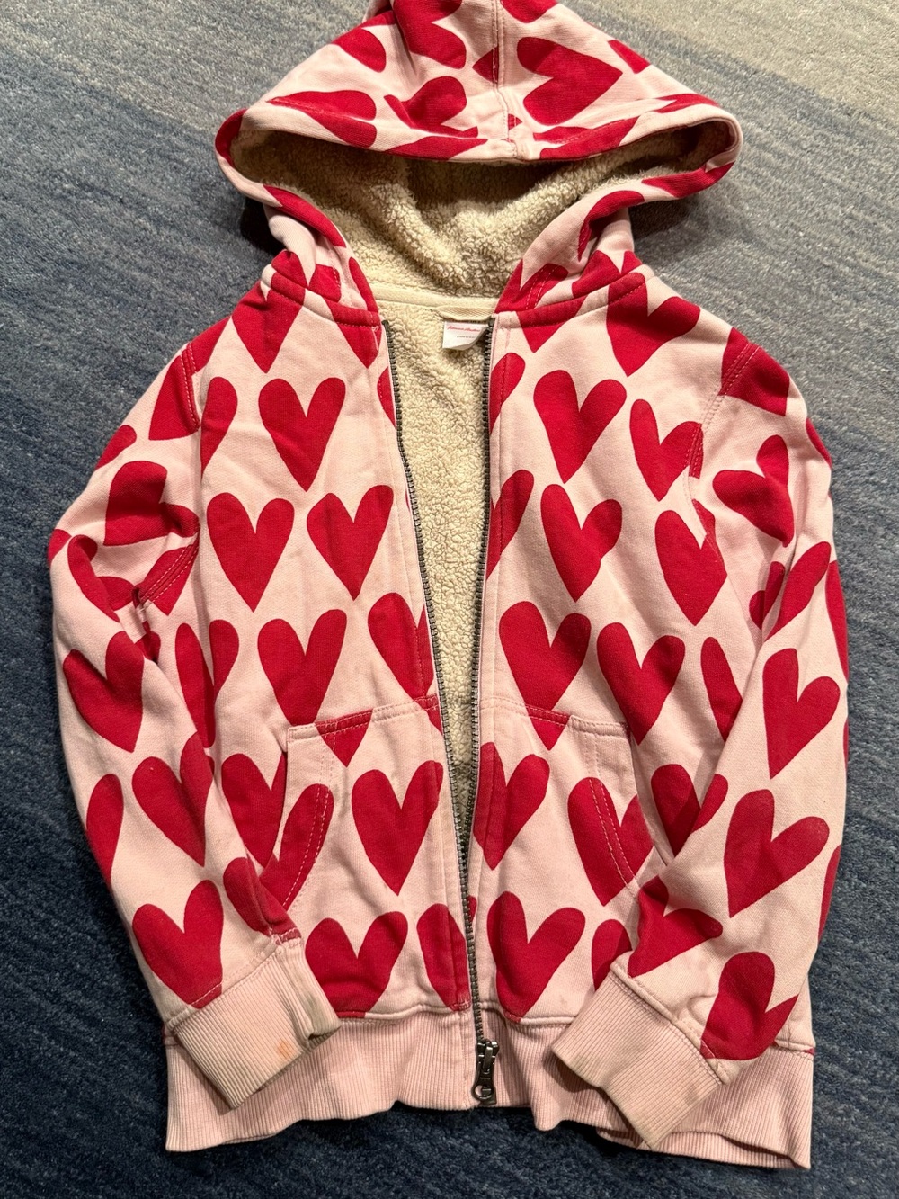 Hanna Andersson Faux Shearling French Terry Hoodie